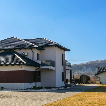 Curtea de Argeş Casa Ambientt酒店 外观 照片